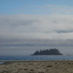 DSC02550