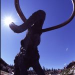 1mammut