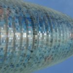 thumbs_DSC05618